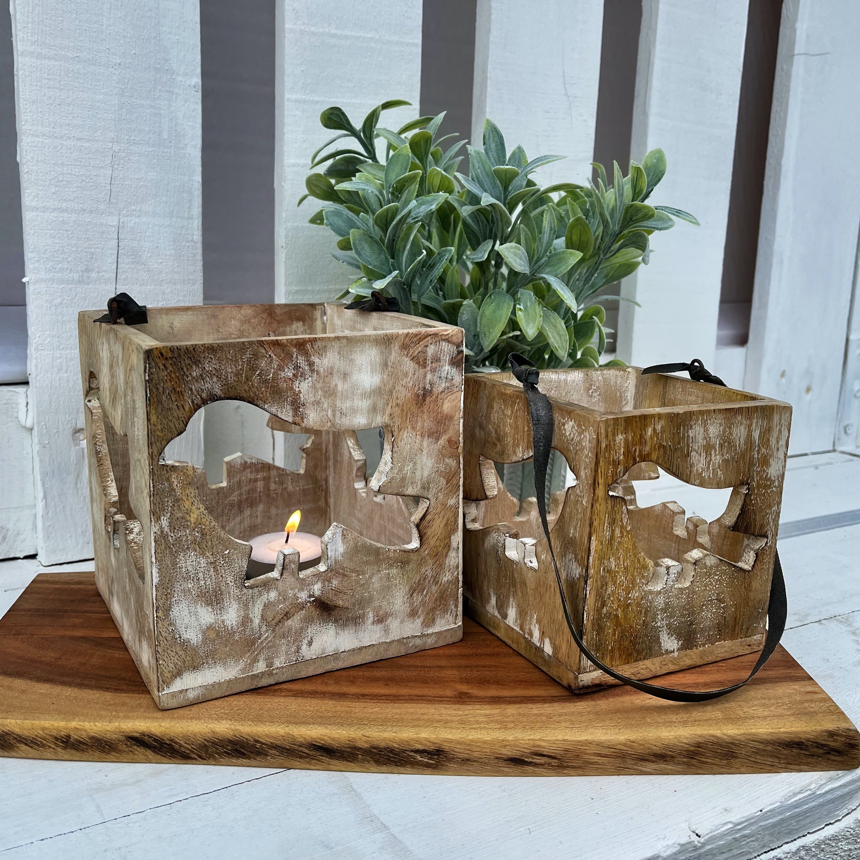 Carved Bird Mango Wood Lantern, Set of 2